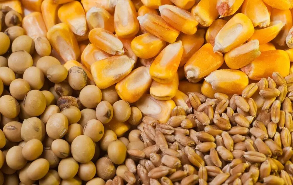 تأمین نهاده